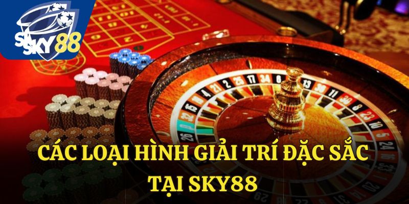 Các loại hình giải trí đặc sắc tại Sky88
