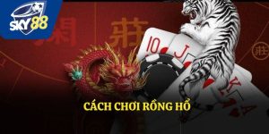 Cách chơi rồng hổ - Hướng dẫn cực kỳ chi tiết cho anh em
